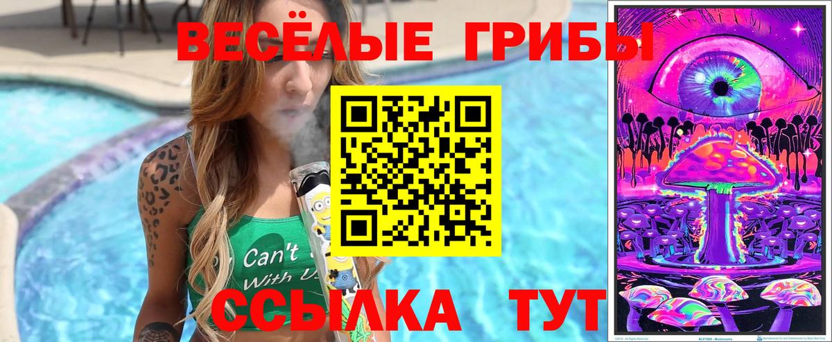 Псилоцибиновые грибы прущие грибы Наро-Фоминск