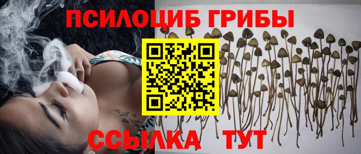 Наро-Фоминск  Галлюциногенные грибы мухоморы  Вход с VPN 